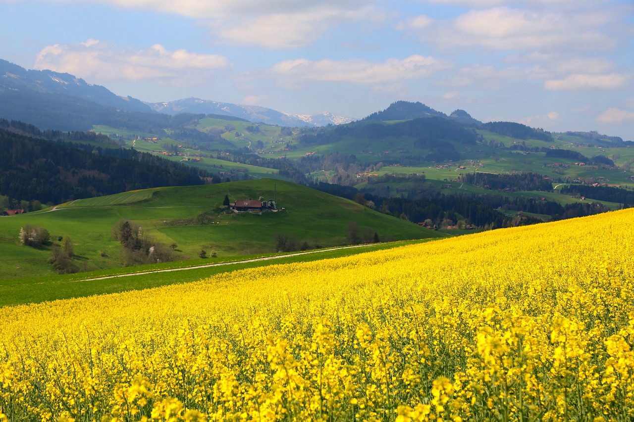 switzerland spring sun free photo