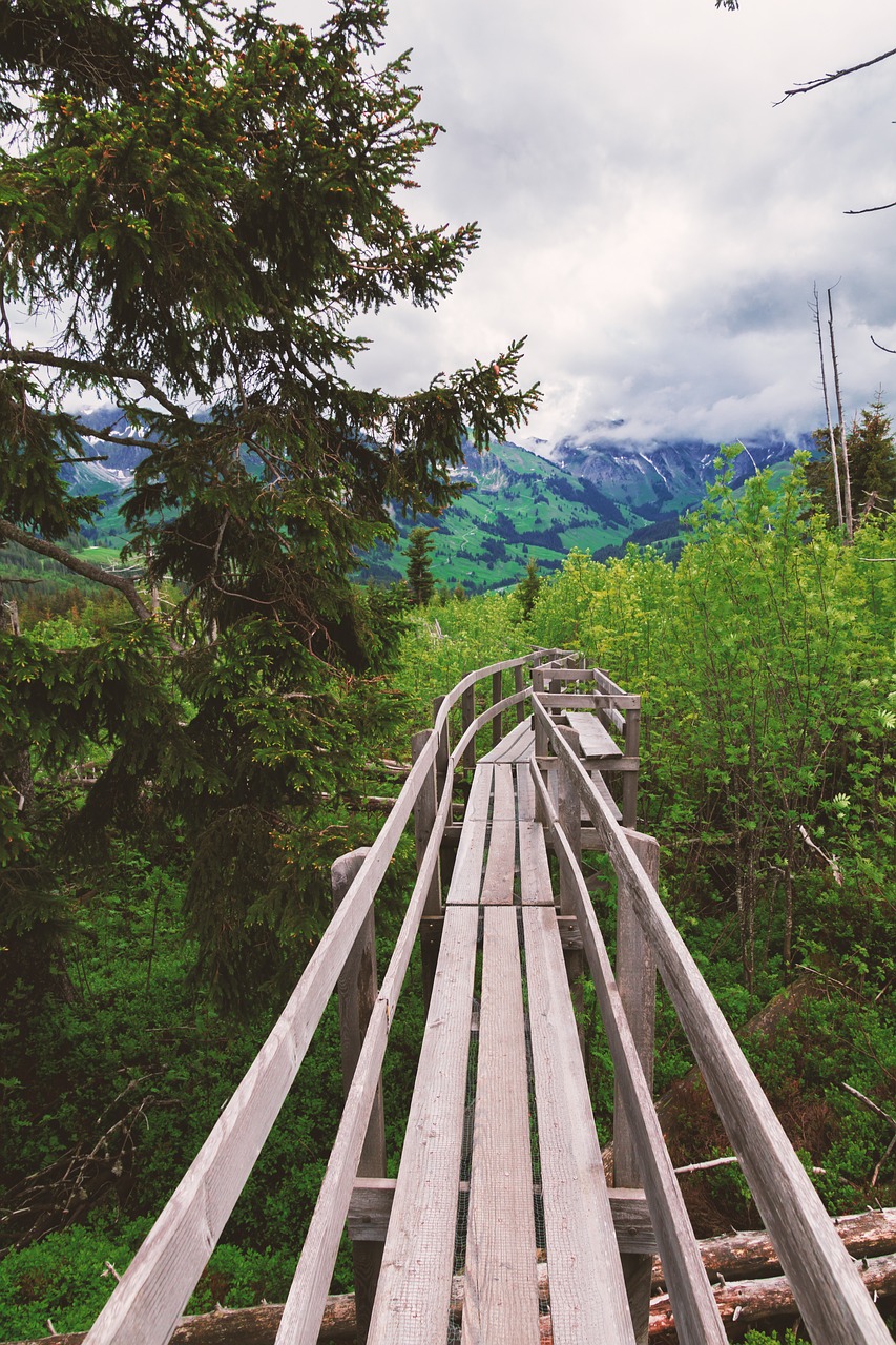 switzerland hiking nature free photo