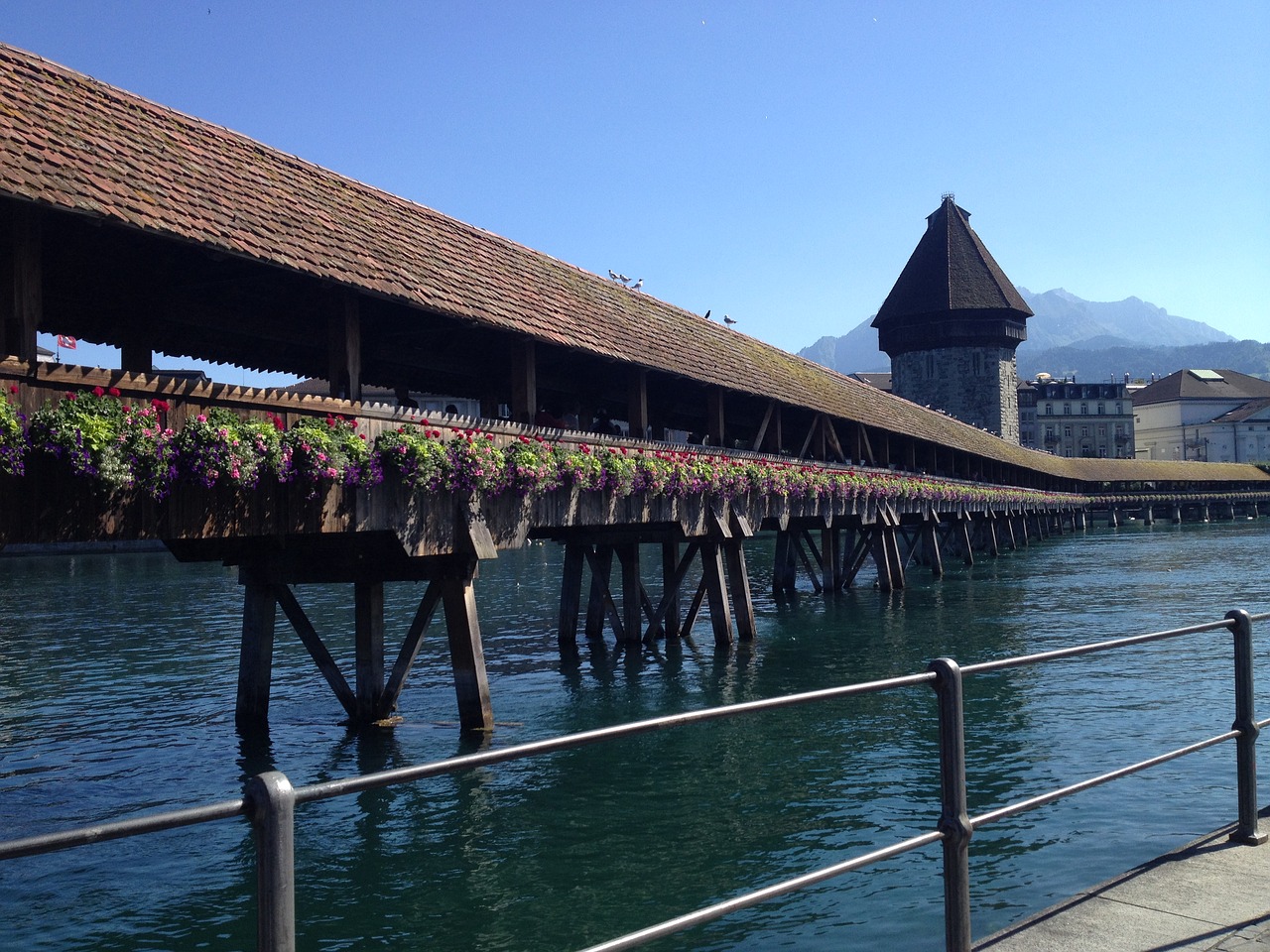 switzerland lucerne lake free photo