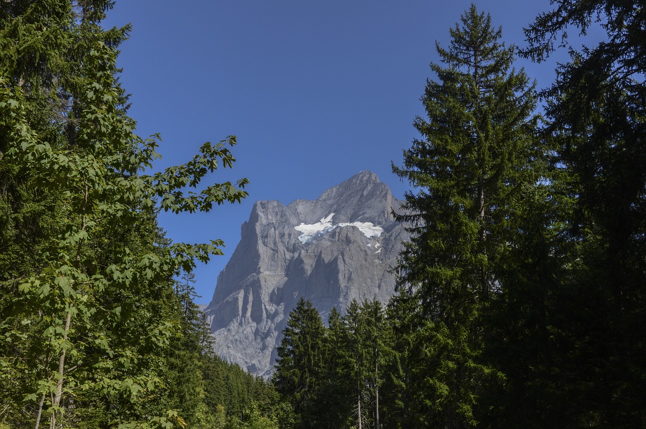 switzerland swiss alps grindelwald free photo