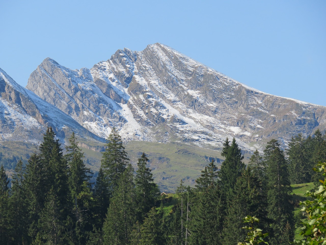 switzerland mountains forest free photo