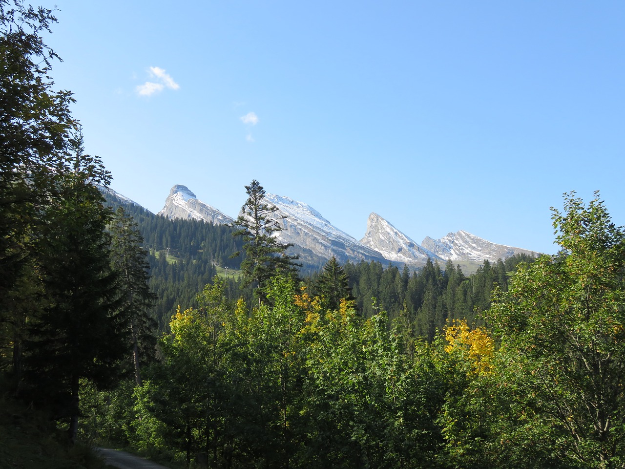 switzerland mountains wildhaus free photo