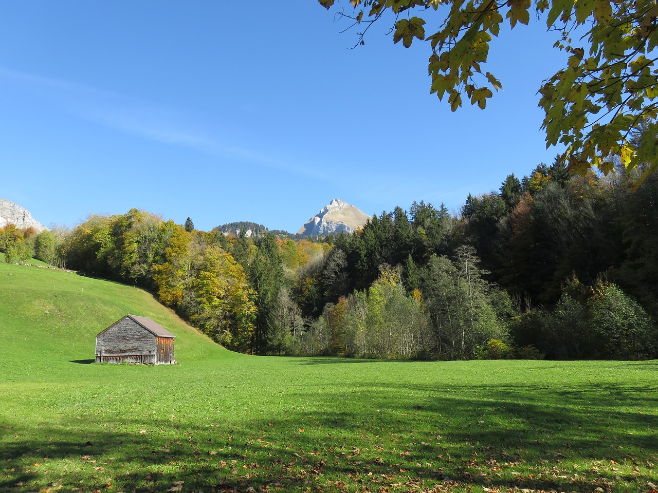 switzerland mountains wildhaus free photo