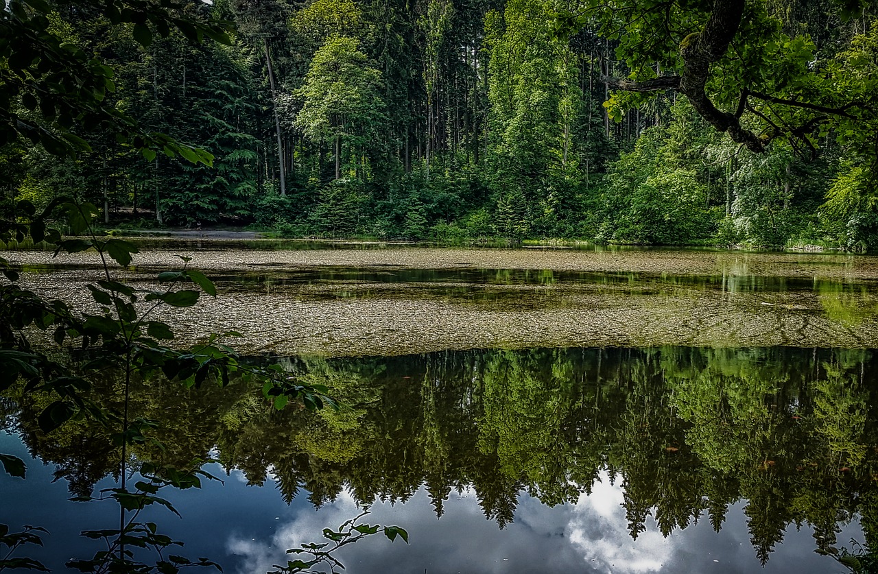 switzerland  thalwil  nature free photo