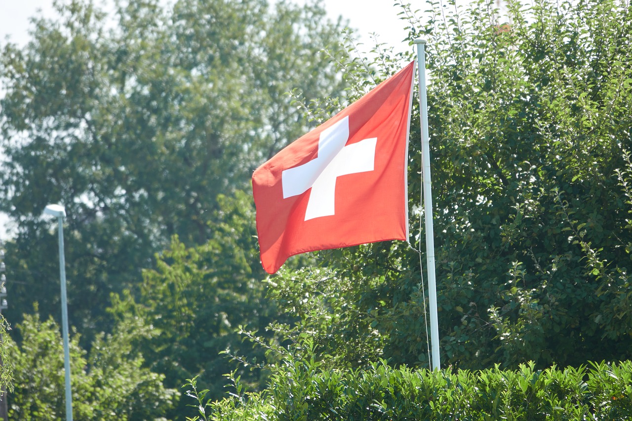 switzerland  flag  cross free photo