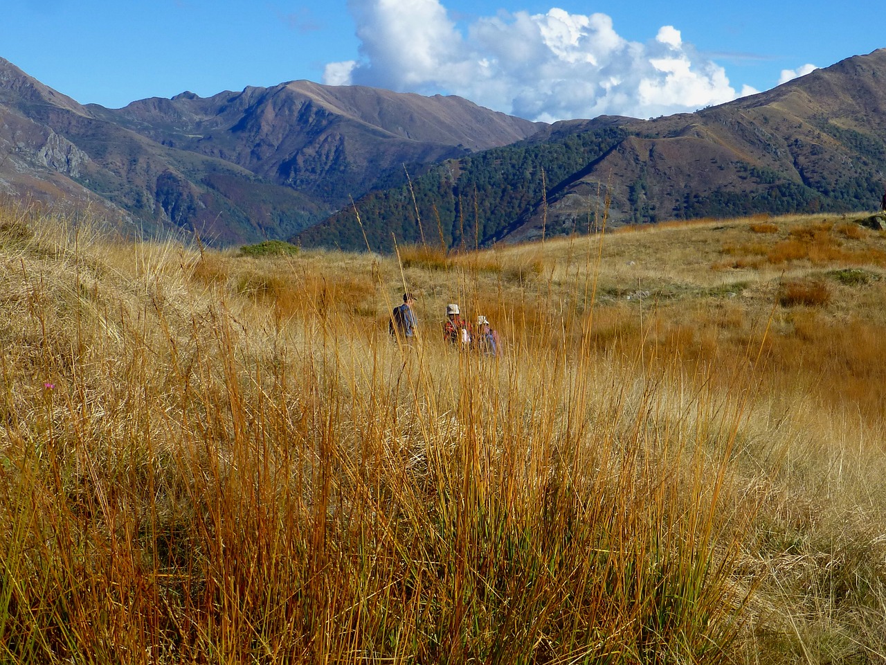 switzerland  ticino  hiking free photo