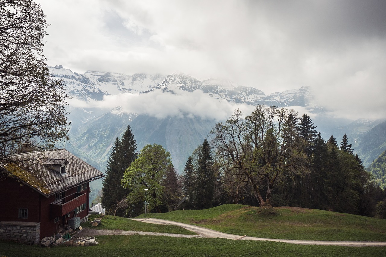 switzerland  mountains  green free photo