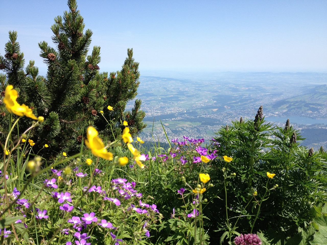 switzerland mountain nature free photo