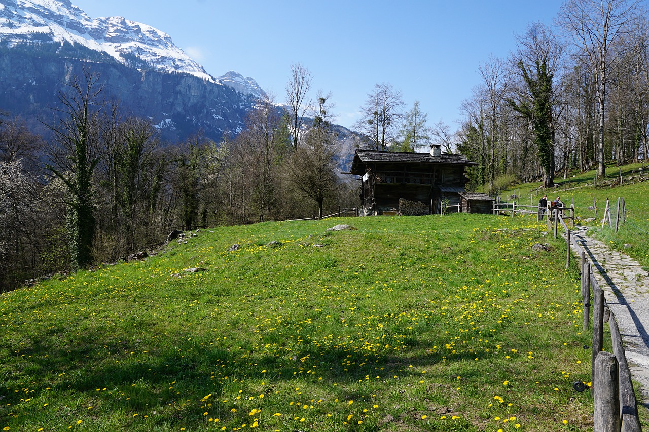 switzerland  village  mountain free photo