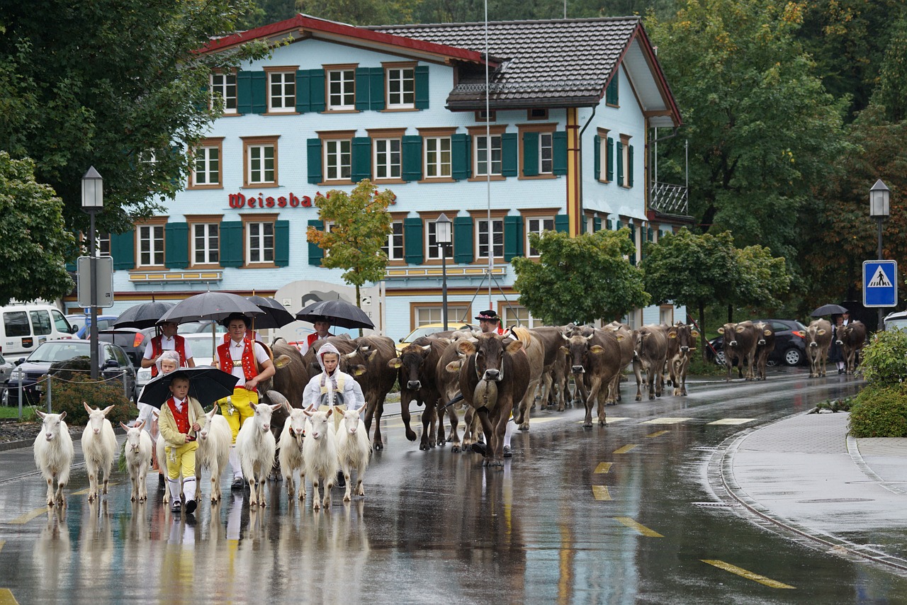 switzerland appenzell typical free photo