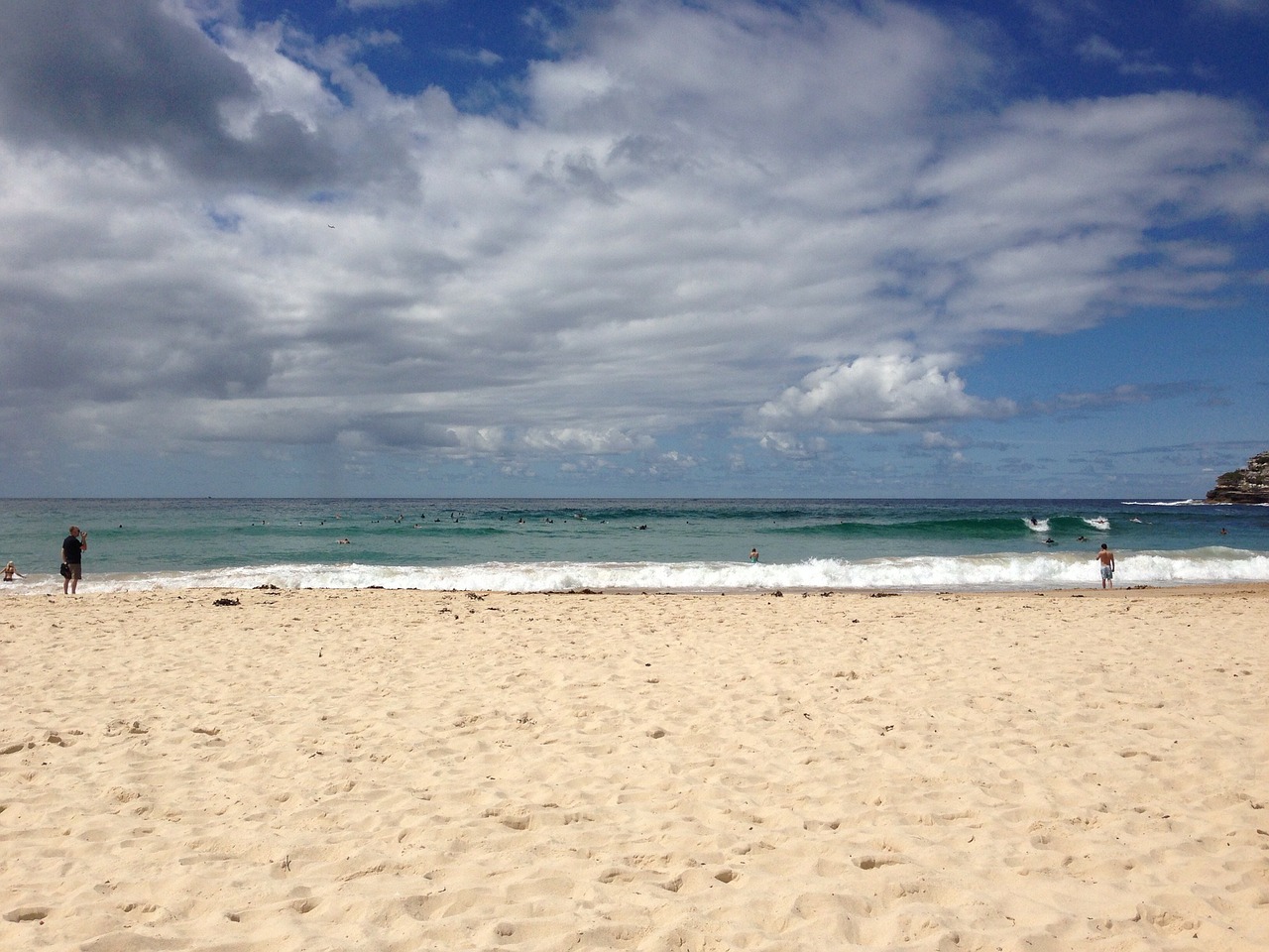 sydney sea beach free photo