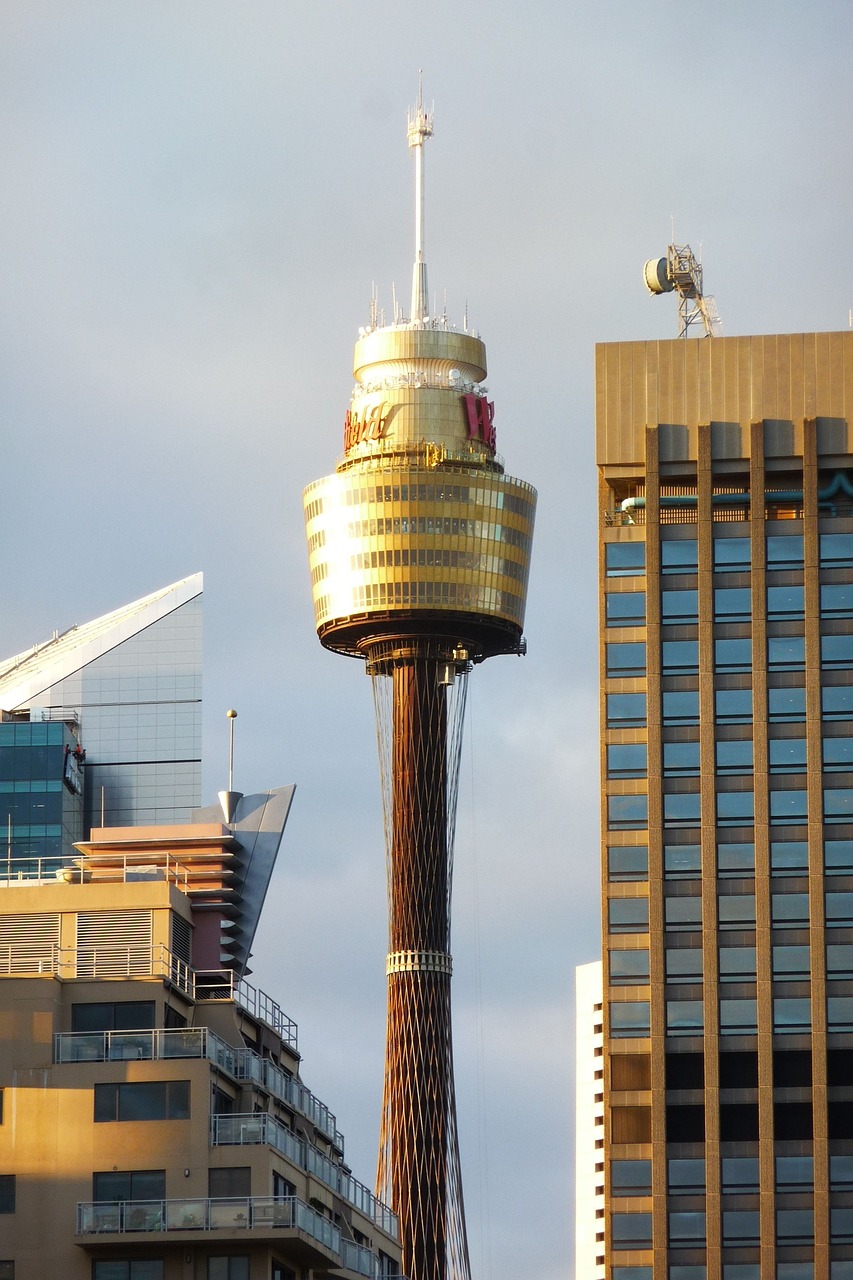 sydney tv tower view free photo