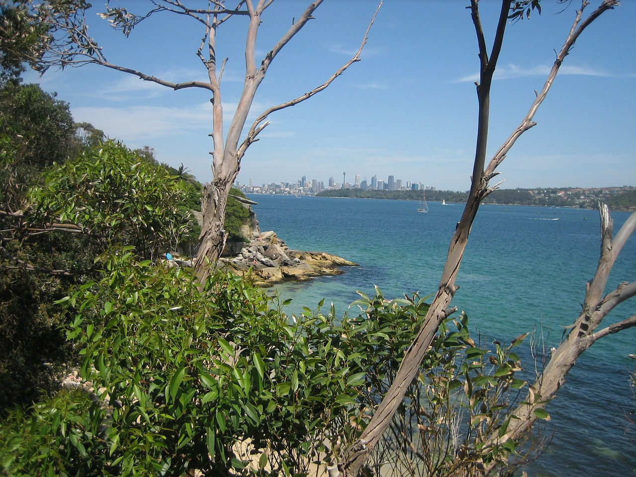 sydney sea australia free photo