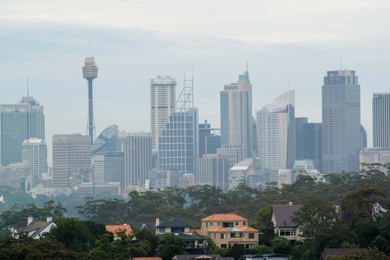 sydney city skyline free photo