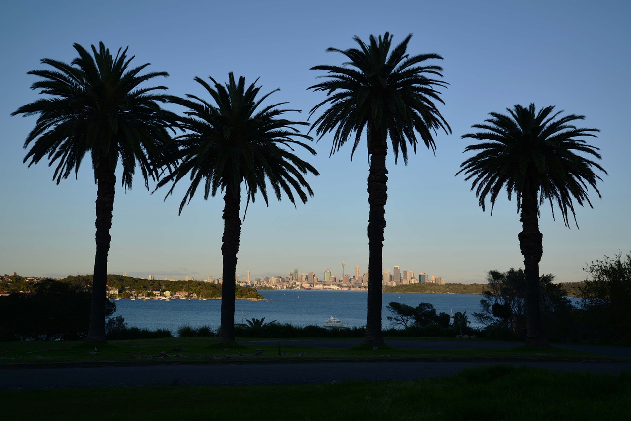 sydney australia sydney harbour free photo