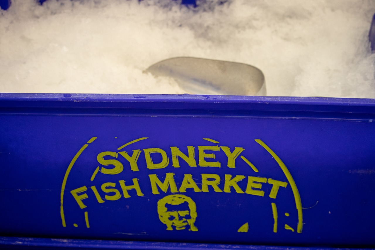 sydney  fish market  ice free photo
