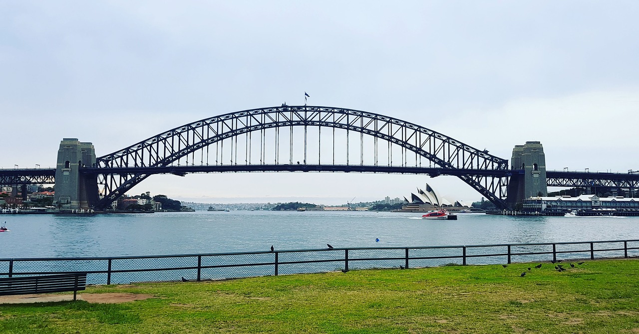 sydney  harbour bridge  grass free photo