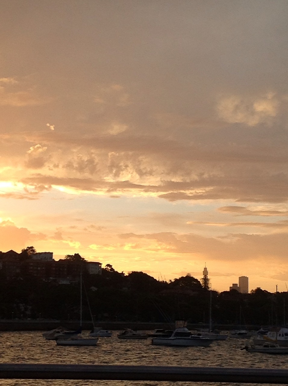 sydney sky sunset free photo