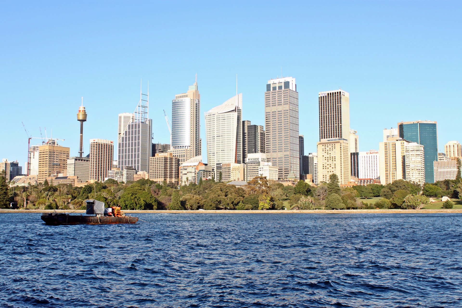 sydney city skyline free photo