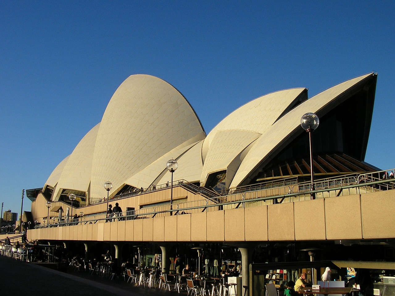 sydney opera house australia sydney free photo