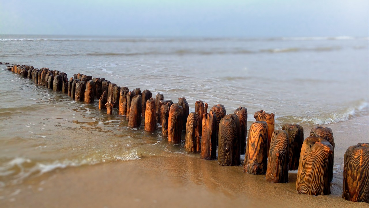 sylt sea north sea free photo