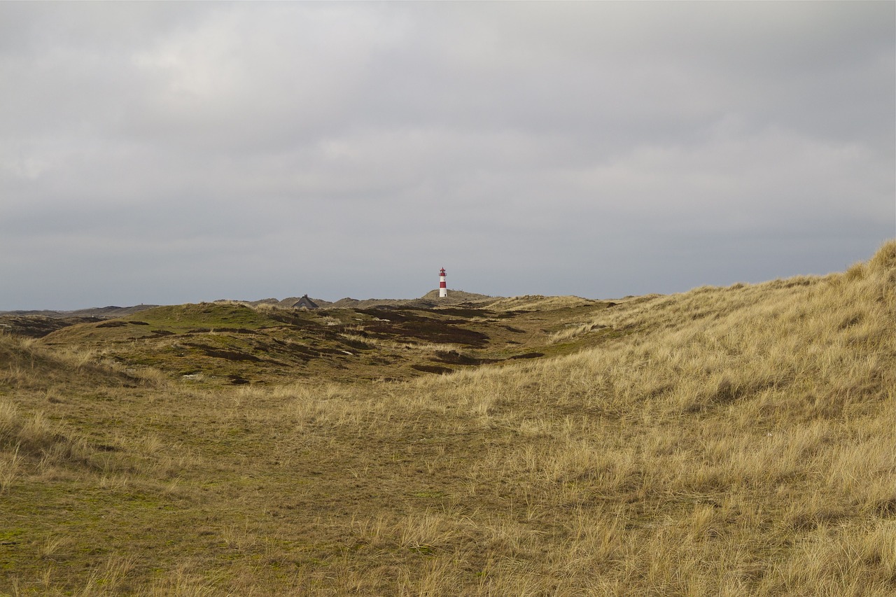 sylt elbow north sea free photo