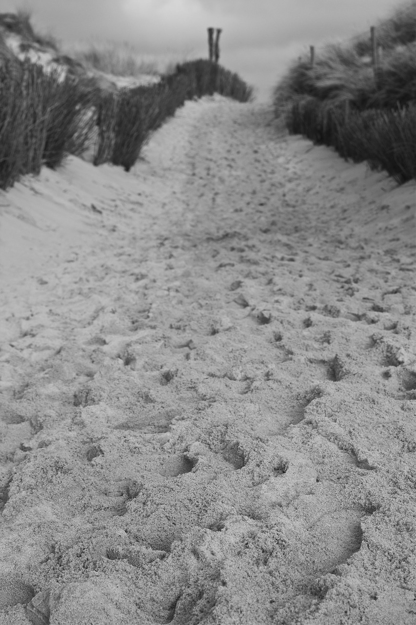 sylt elbow north sea free photo