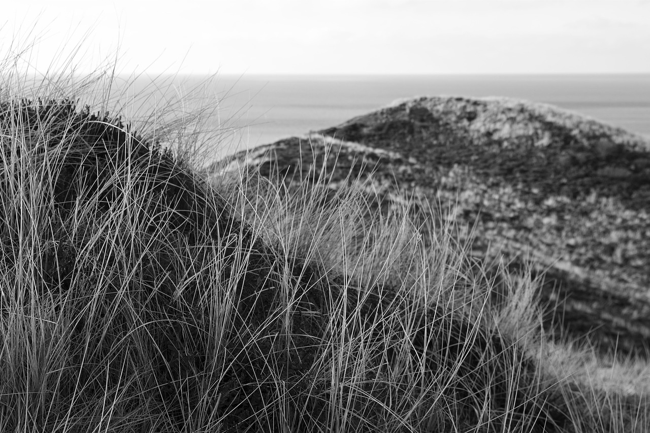 sylt north sea island free photo