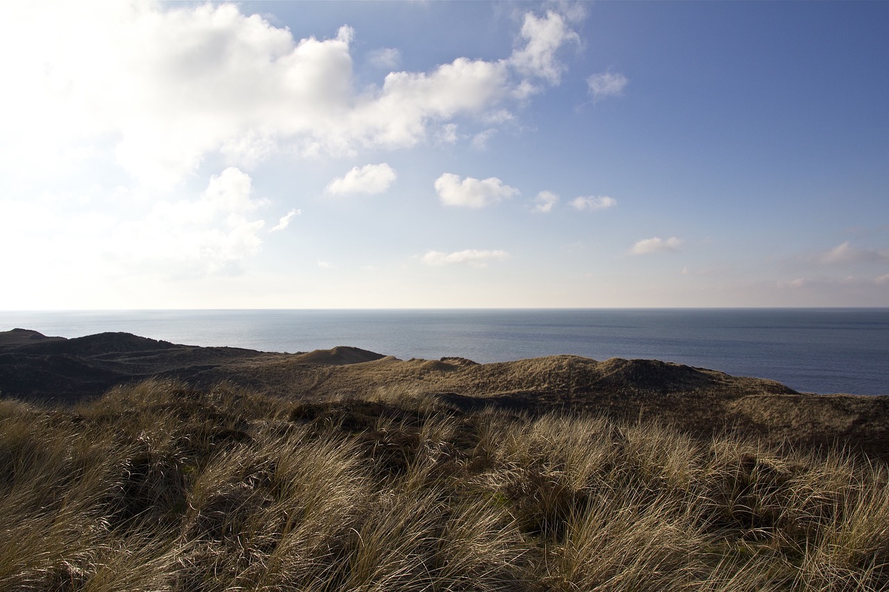 sylt north sea island free photo