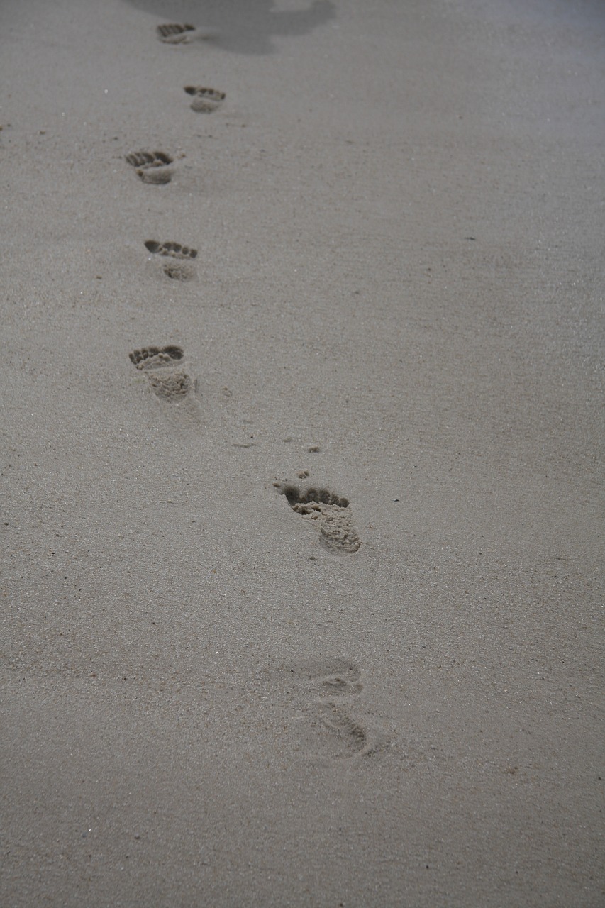 sylt beach north sea free photo