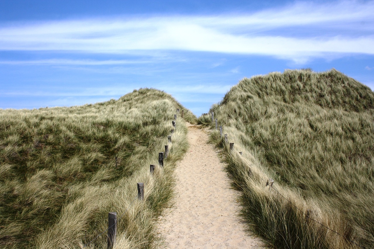 sylt germany grass free photo