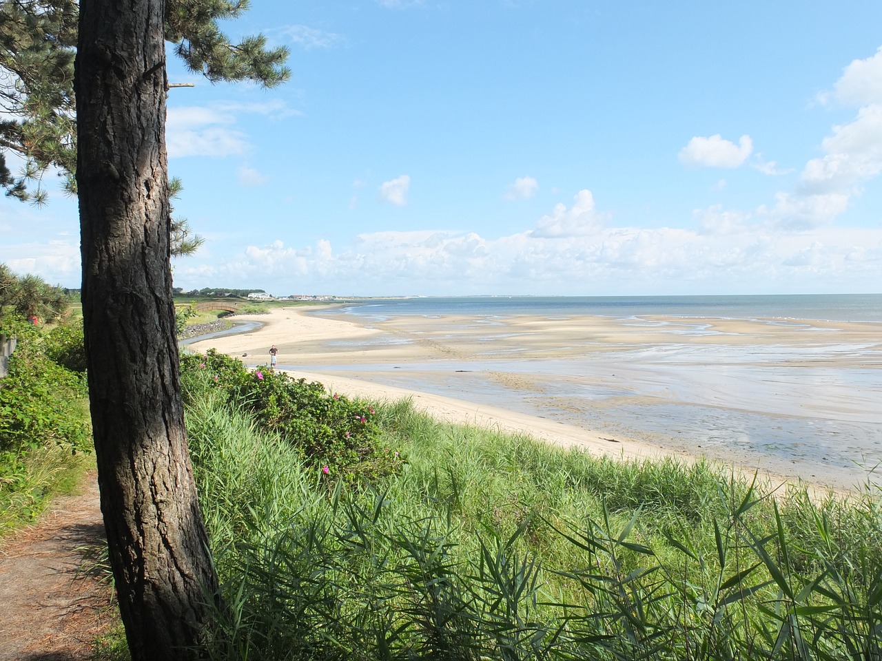 sylt wadden sea north sea free photo