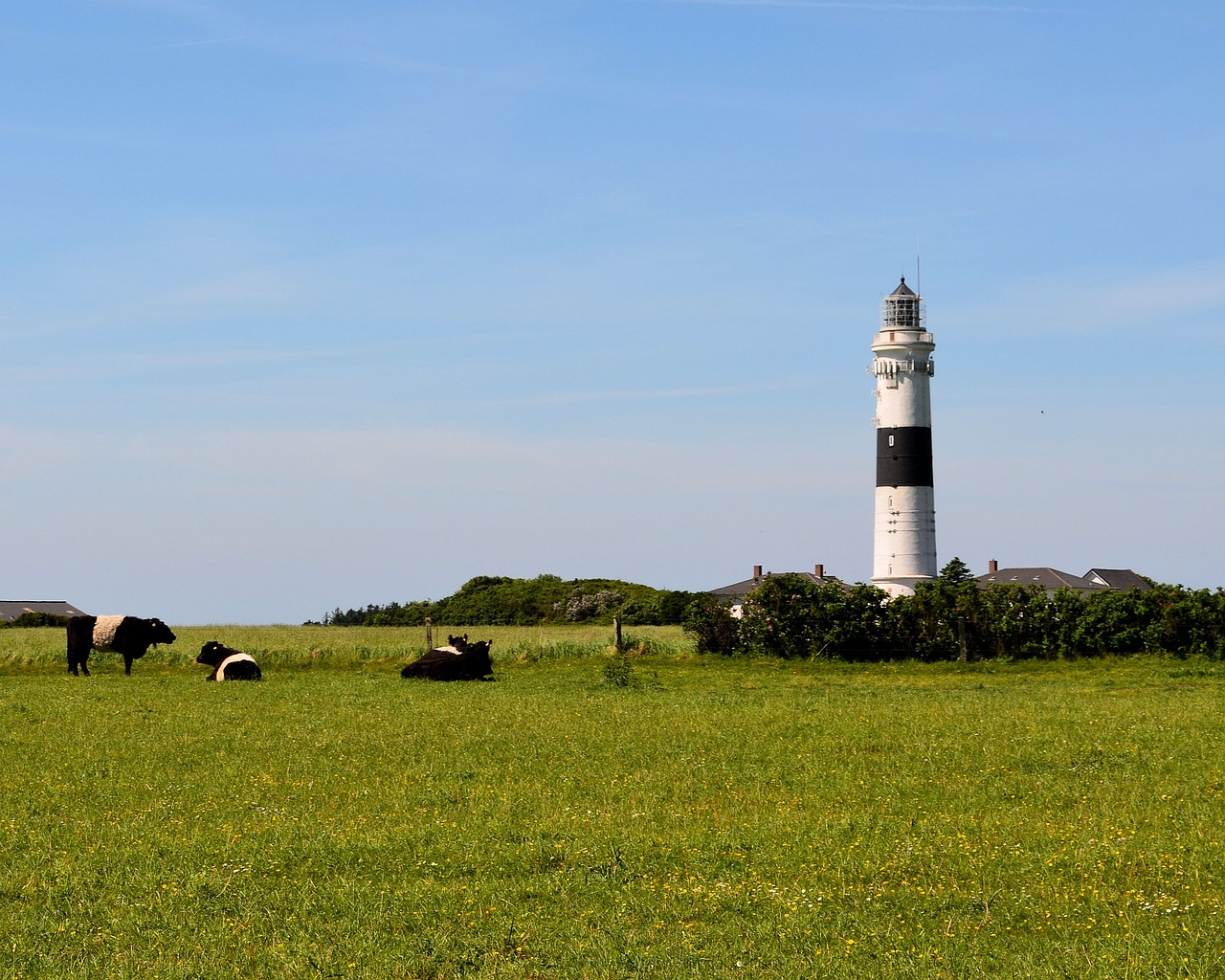 sylt  lighthouse  kampen free photo