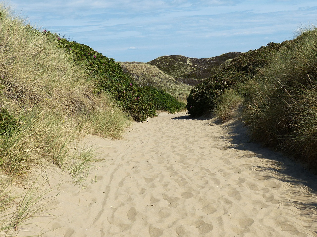 sylt  kampen  north sea free photo