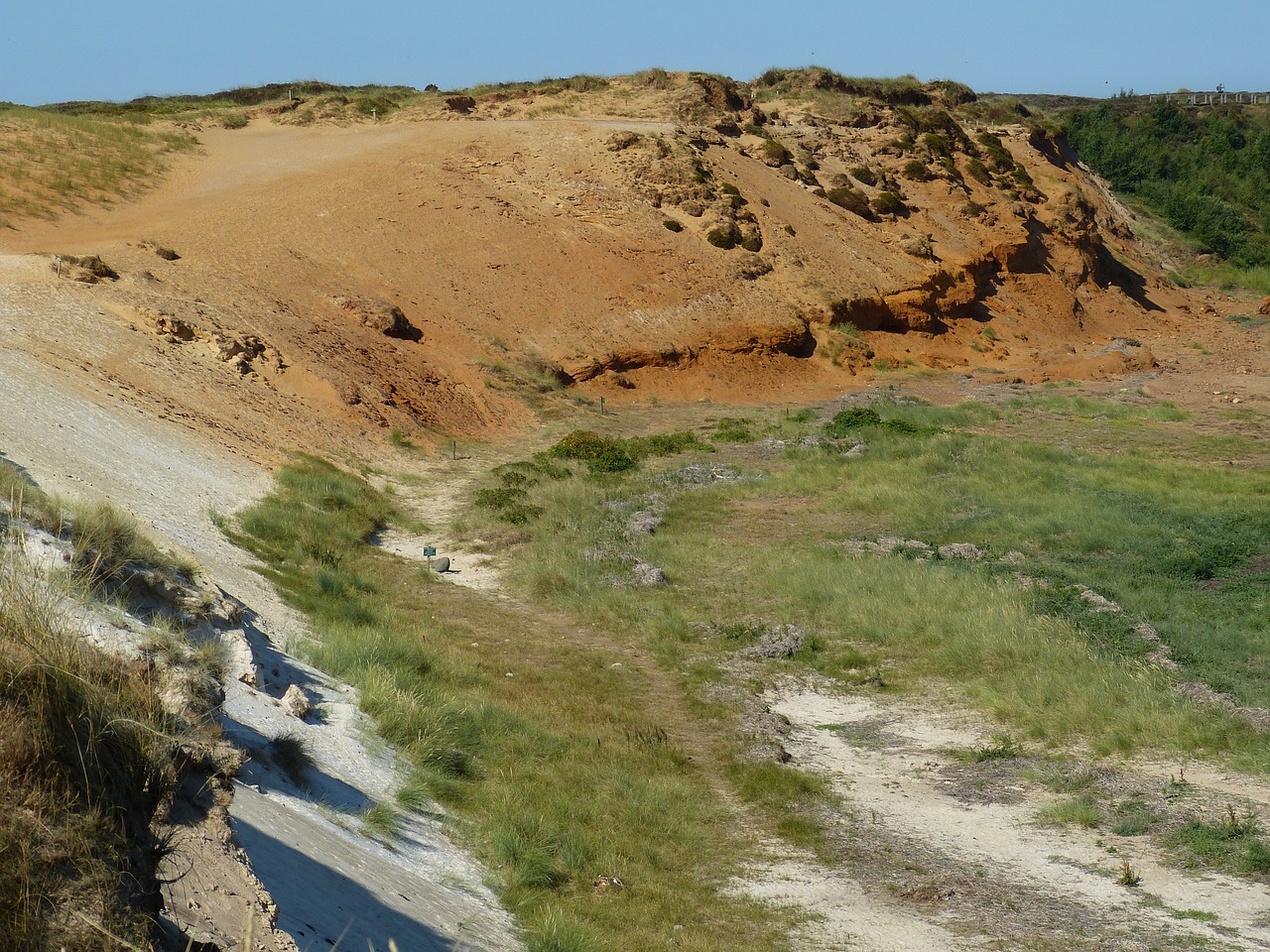 sylt  island  north sea free photo