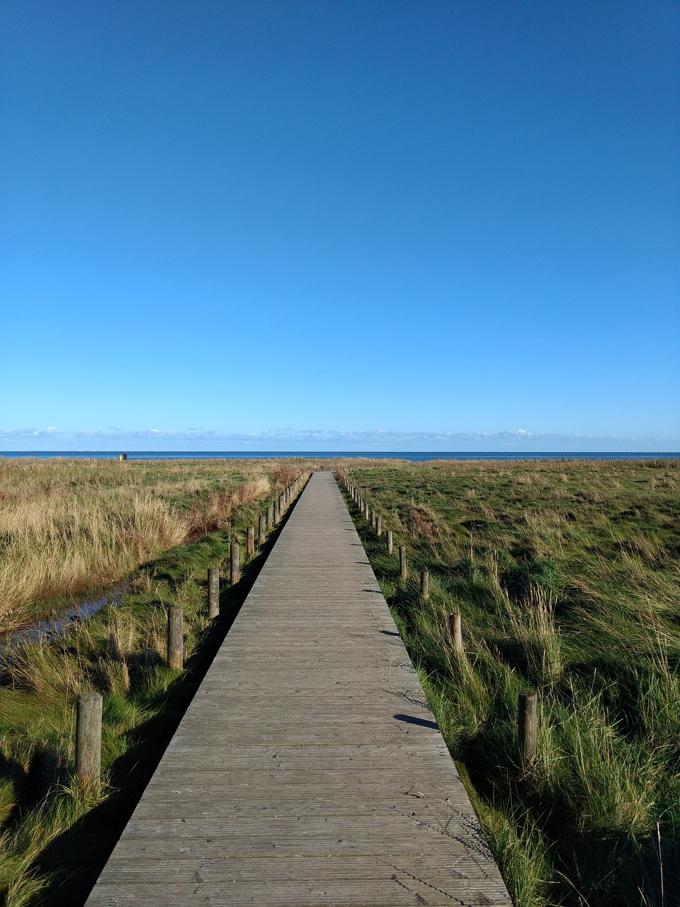 sylt  natural  sea free photo