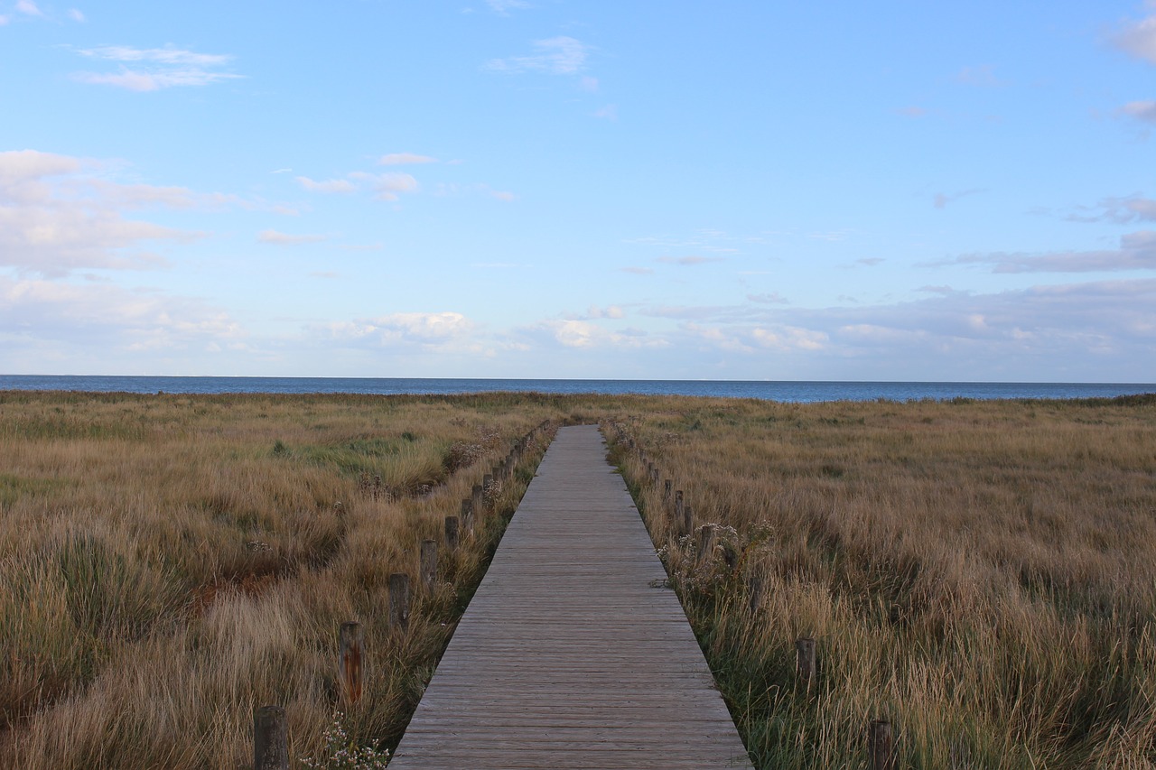 sylt  kampen  dune landscape free photo