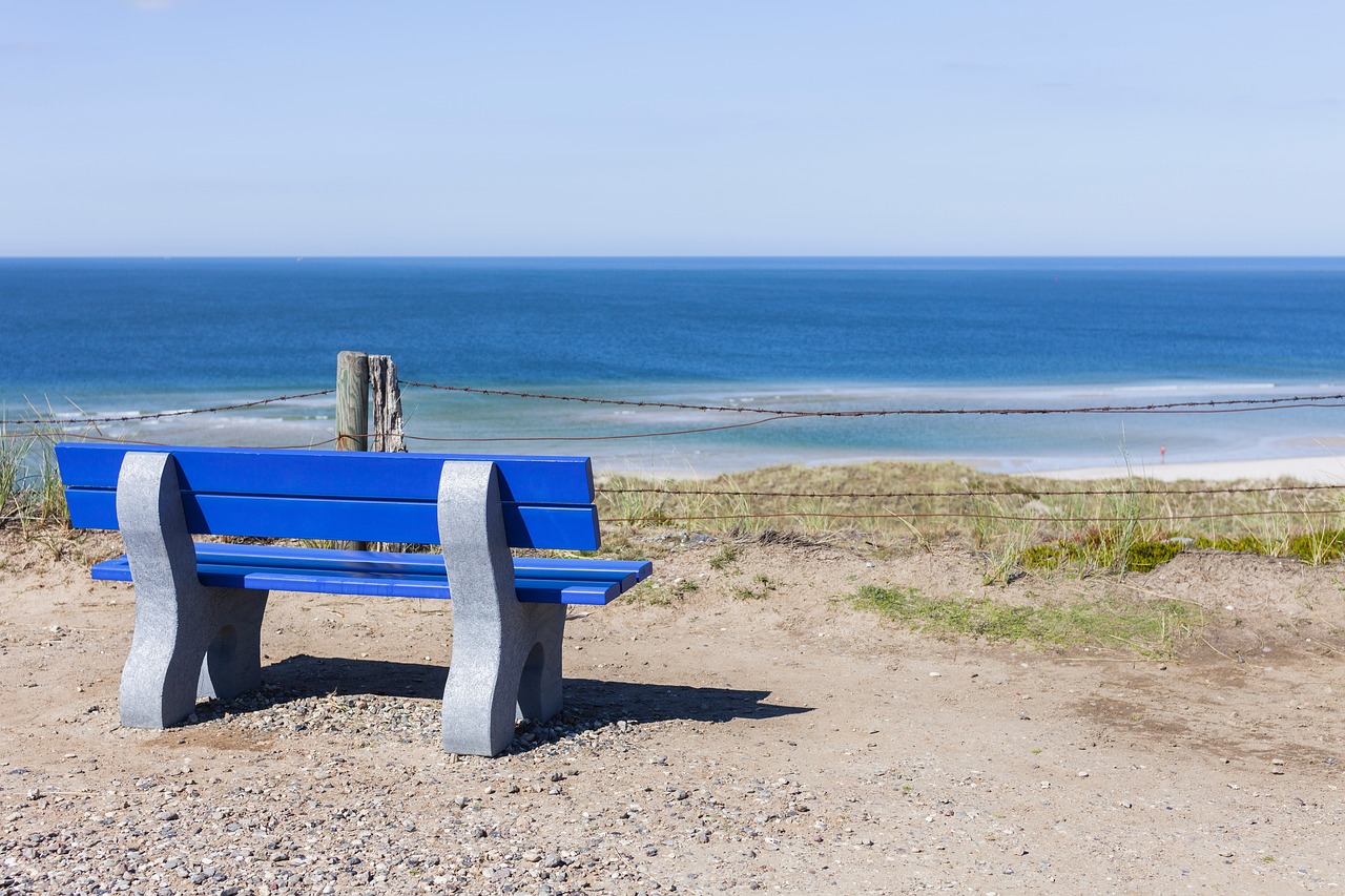 sylt  bank  sea free photo