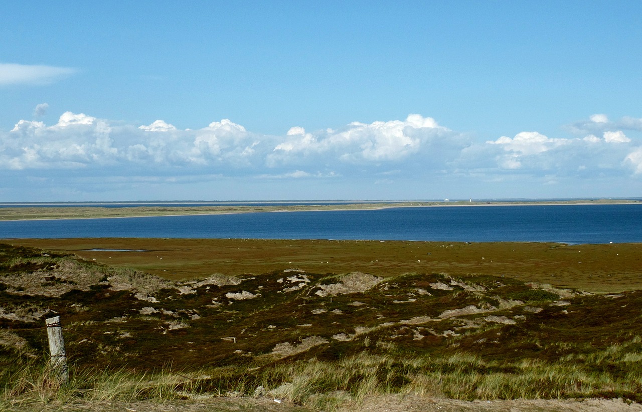 sylt elbow beach free photo