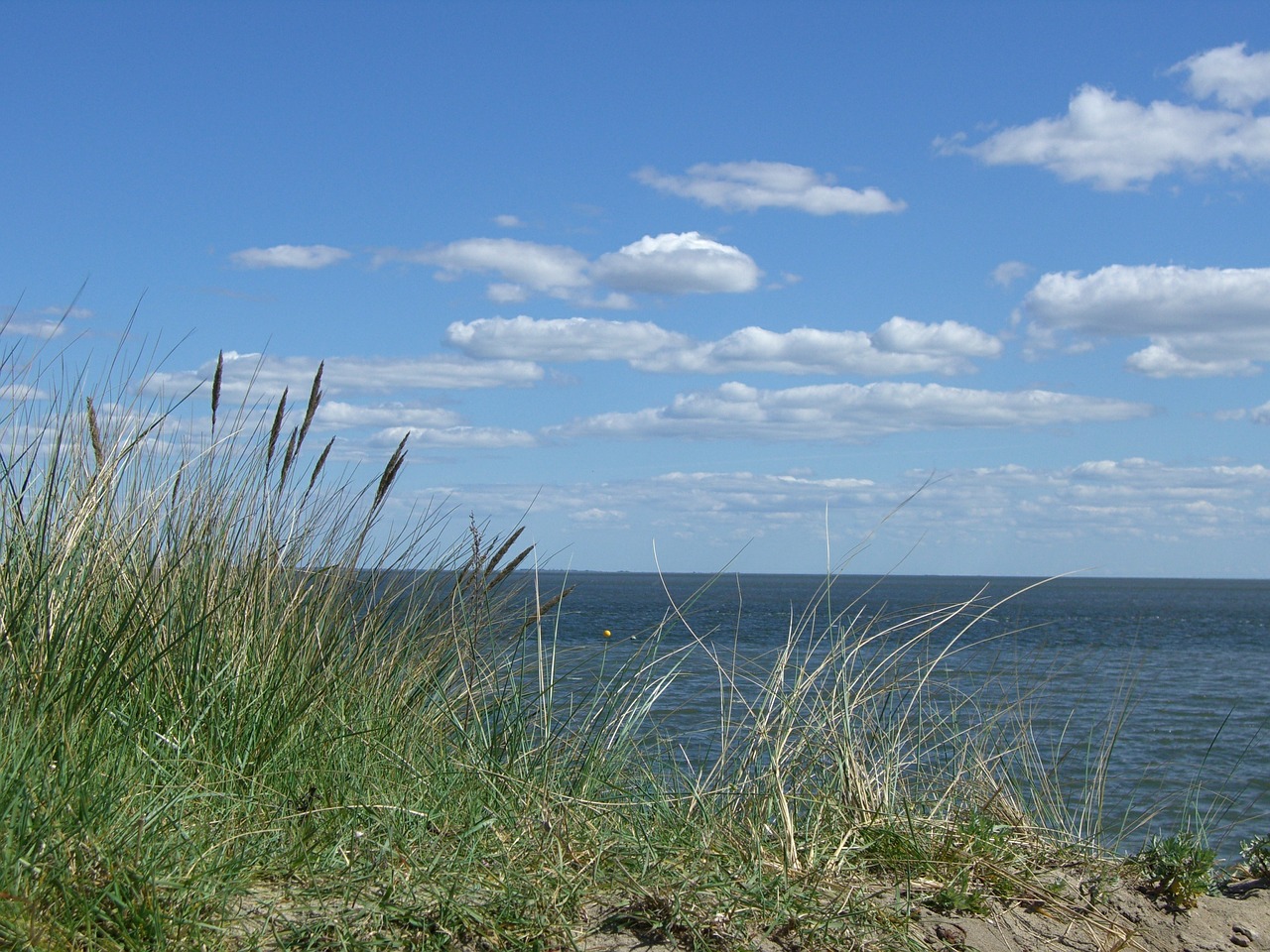 sylt summer north sea free photo