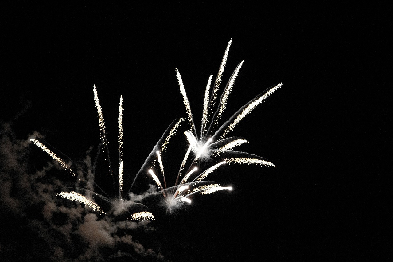 sylvester rocket fireworks free photo