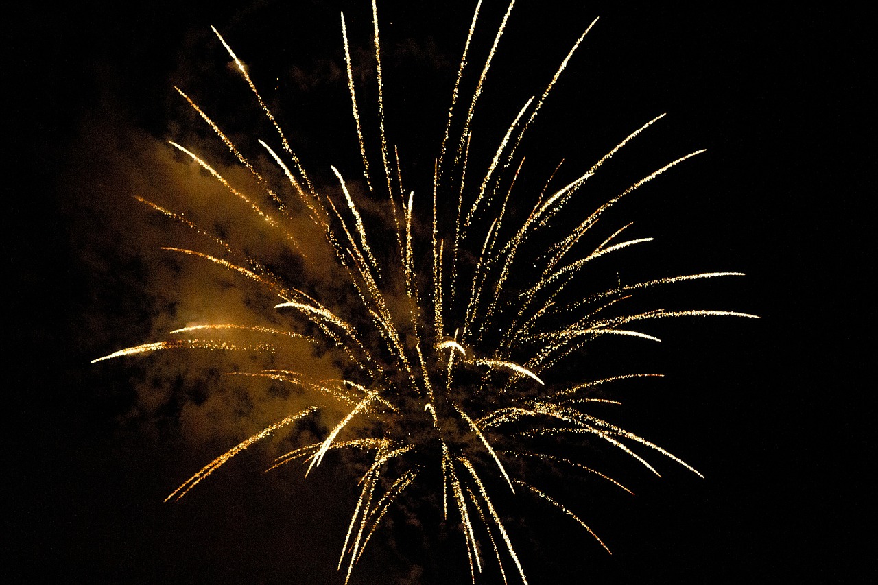 sylvester rocket fireworks free photo