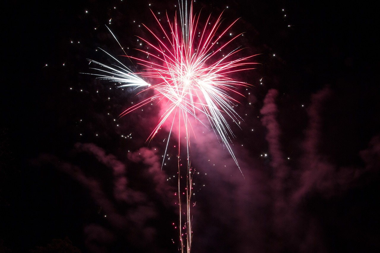 sylvester cracker fireworks free photo