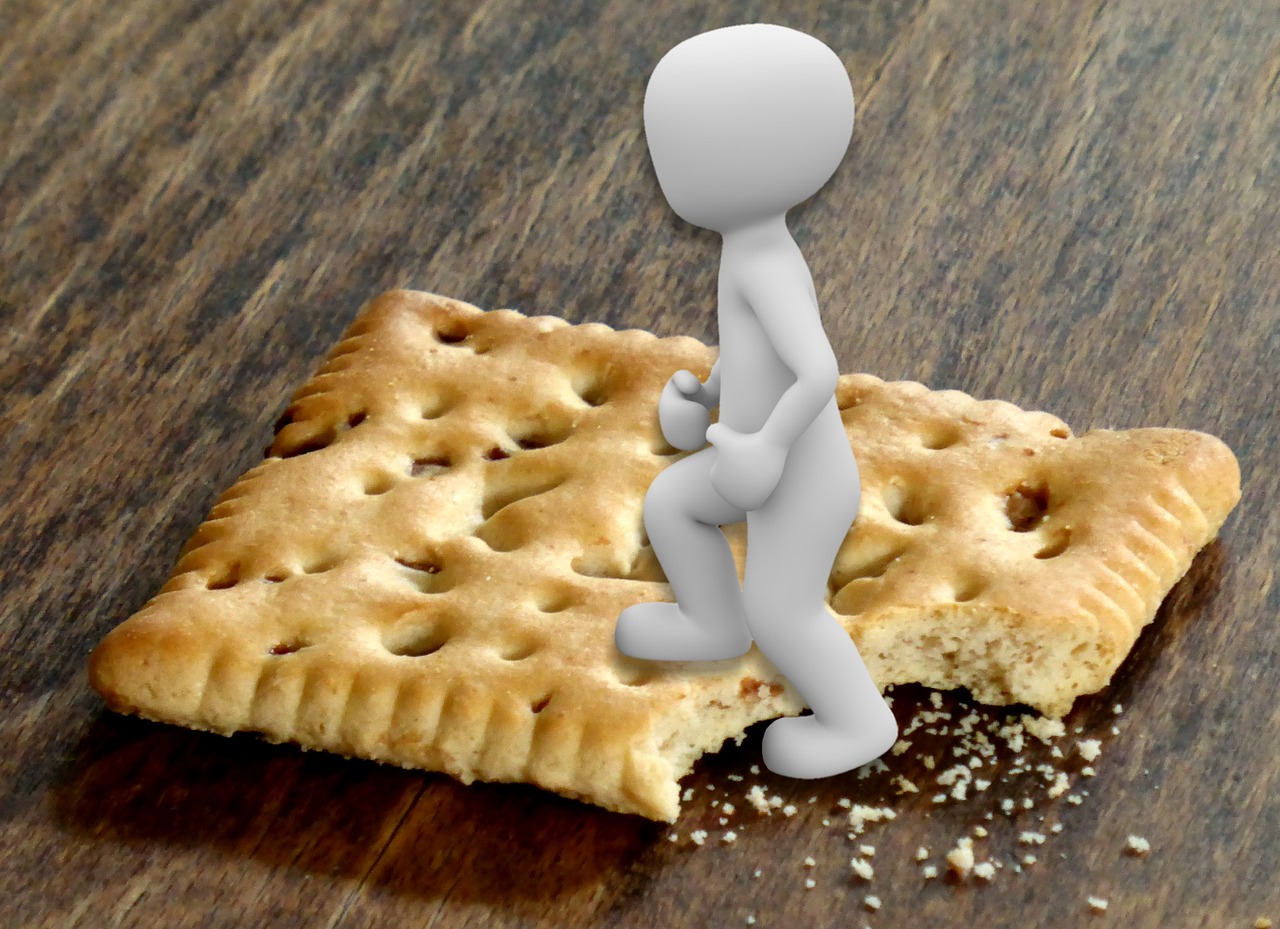 symbolic go on the biscuit figure of speech free photo