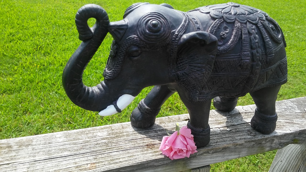 symbolic elephant pink rose free photo