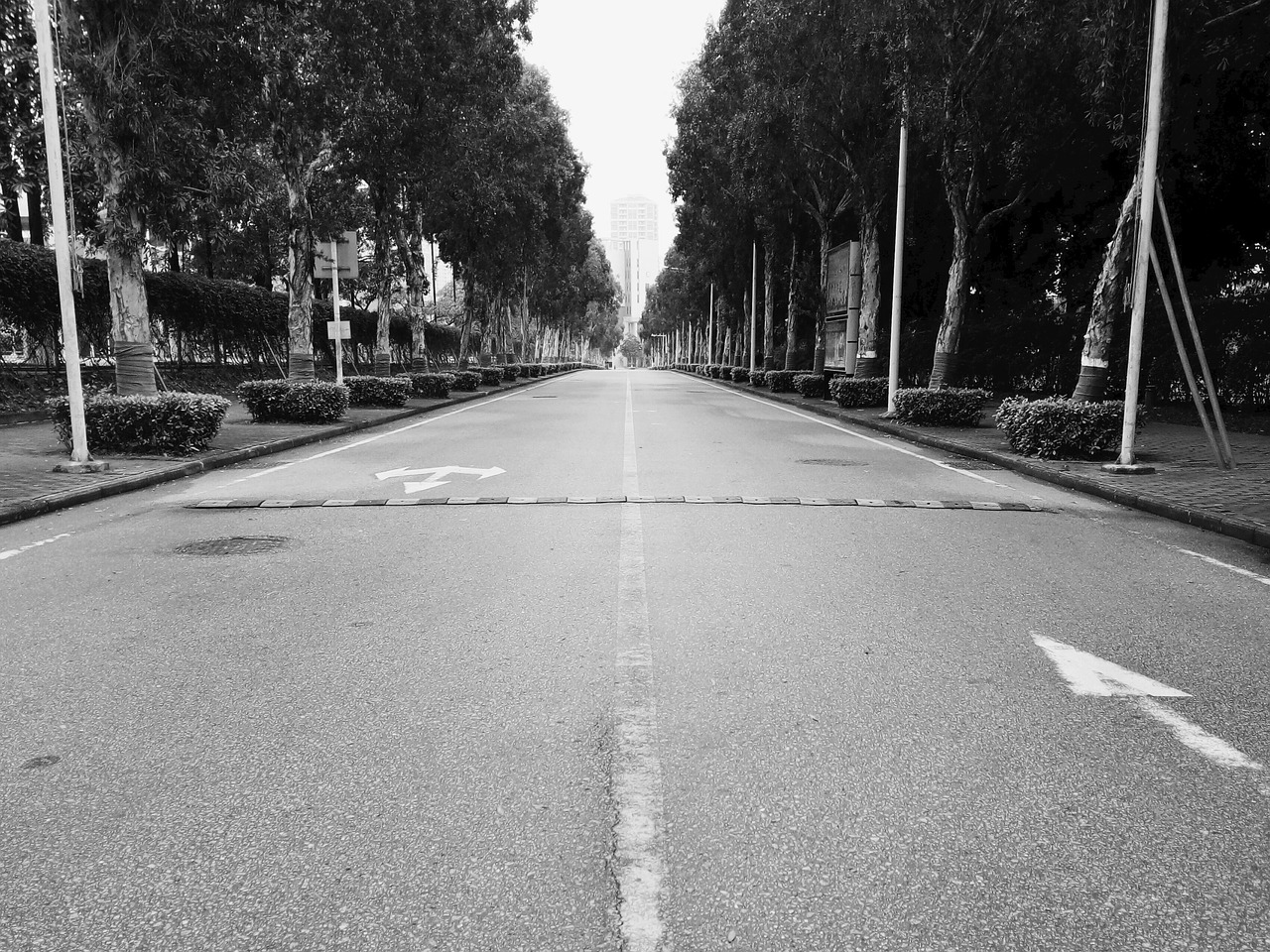 symmetry road in depth free photo
