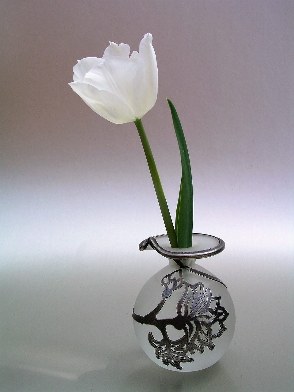 sympathy vase flower free photo
