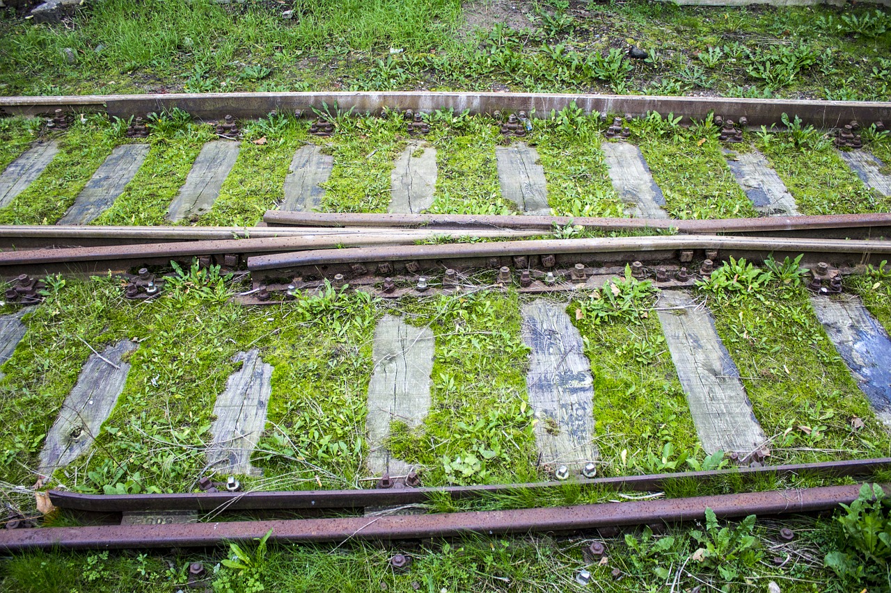 synchronously train tracks grass free photo