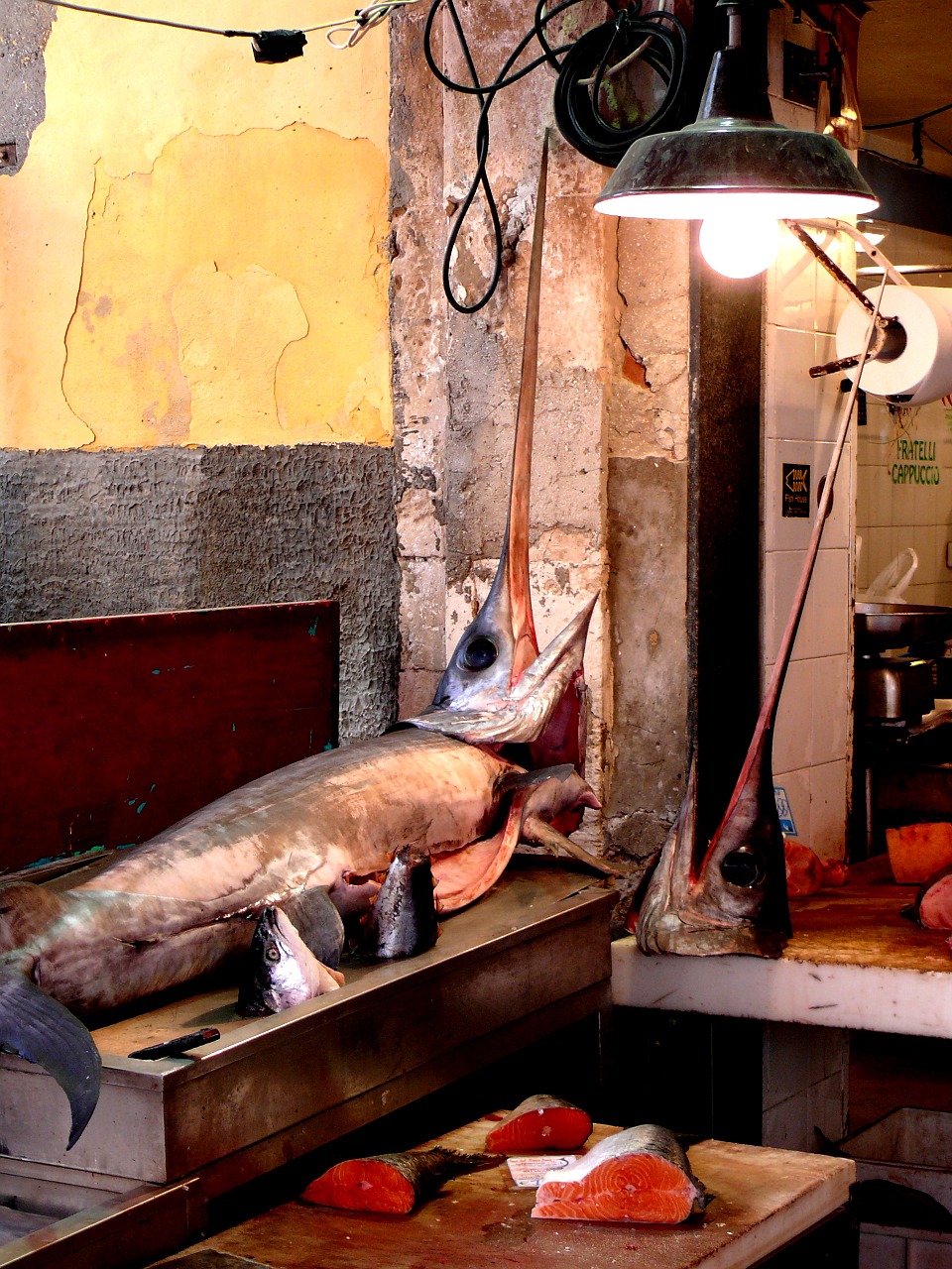 syracuse traditional fishing swordfish free photo