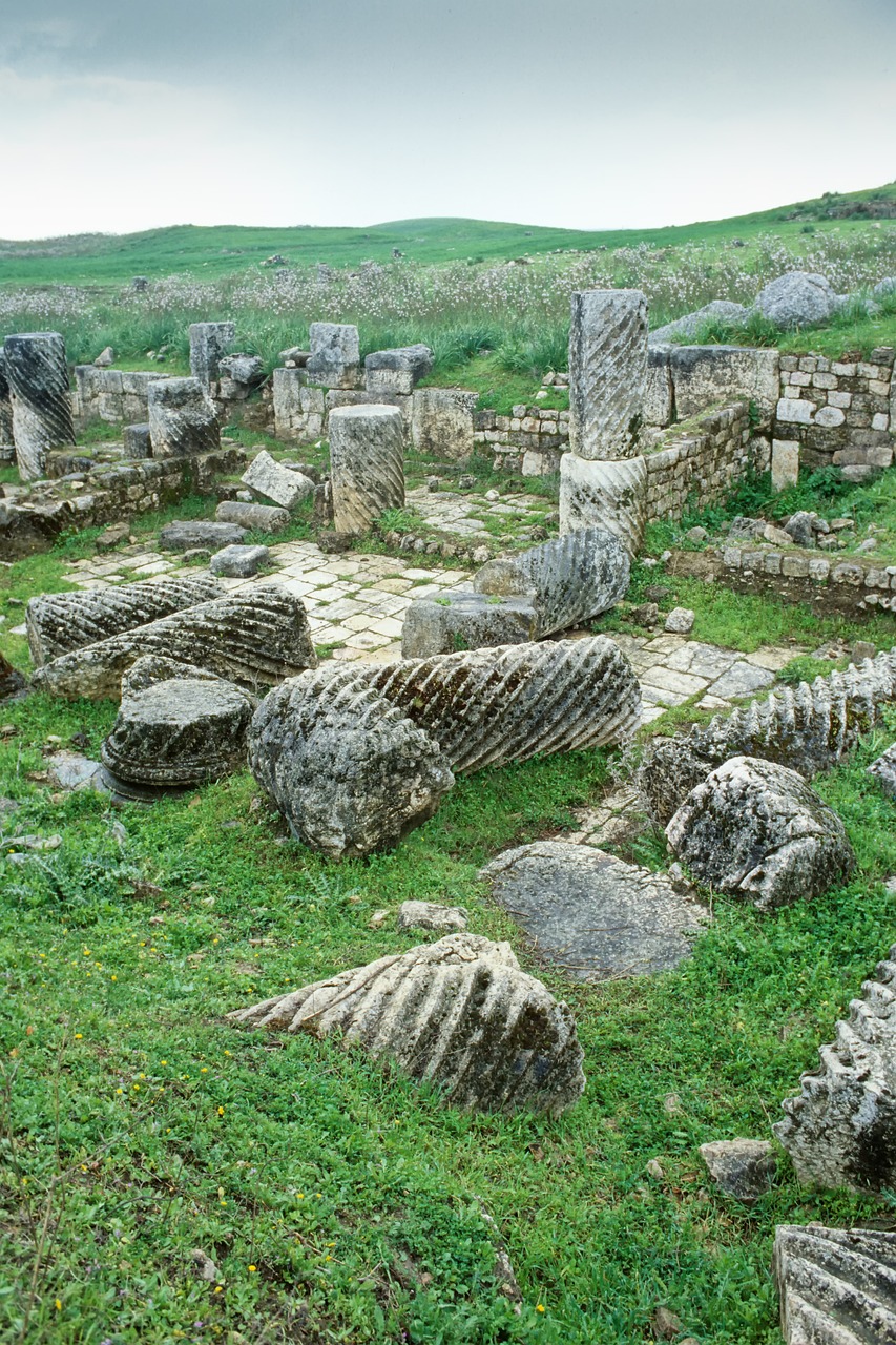 syria  apamea  roman free photo